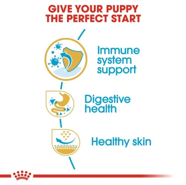 Royal Canin French Bulldog Puppy - Суха храна за подрастващи кучета от порода френски булдог от 2- до 12-месечна възраст